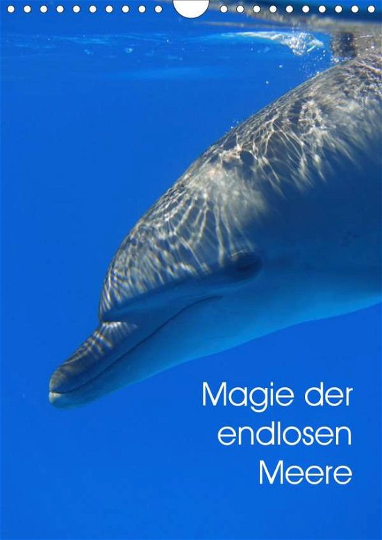 Cover for Reinhardt · Magie der endlosen Meere (Wan (Bok)
