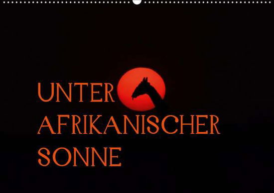 Cover for Schneeberger · Unter afrikanischer SonneC (Book)