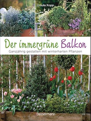 Cover for Ursula Kopp · Der immergrüne Balkon. Ganzjährig gestalten mit winterharten Pflanzen (Book) (2024)