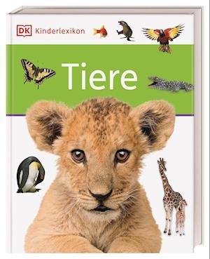 Cover for DK Kinderlexikon. Tiere (Book) (2023)