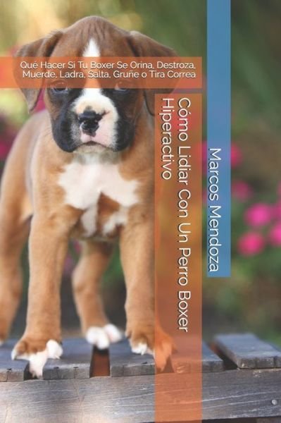 Como Lidiar Con Un Perro Boxer Hiperactivo - Marcos Mendoza - Livros - Independently Published - 9798598842614 - 22 de janeiro de 2021