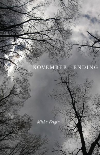 Cover for Misha Feigin · November Ending (Paperback Book) (2020)