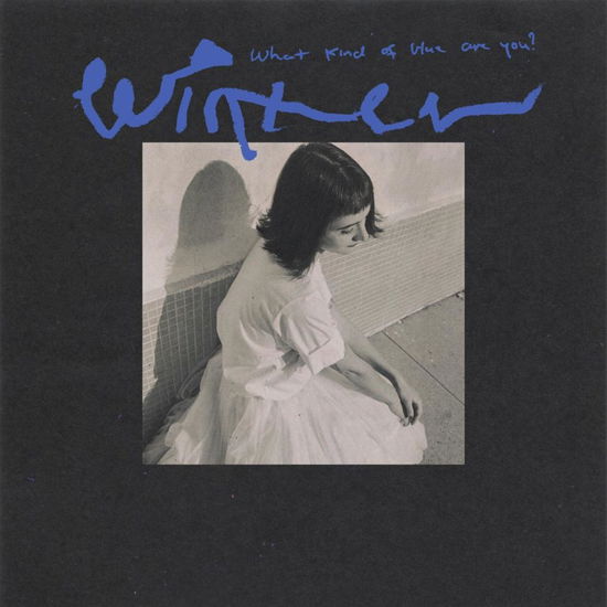 Winter · What Kind of Blue Are You? (LP) (2023)