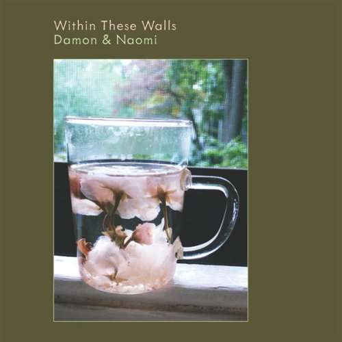 Within These Walls - Damon & Naomi - Musik - 20-20-20 - 0600197100615 - 13. april 2017