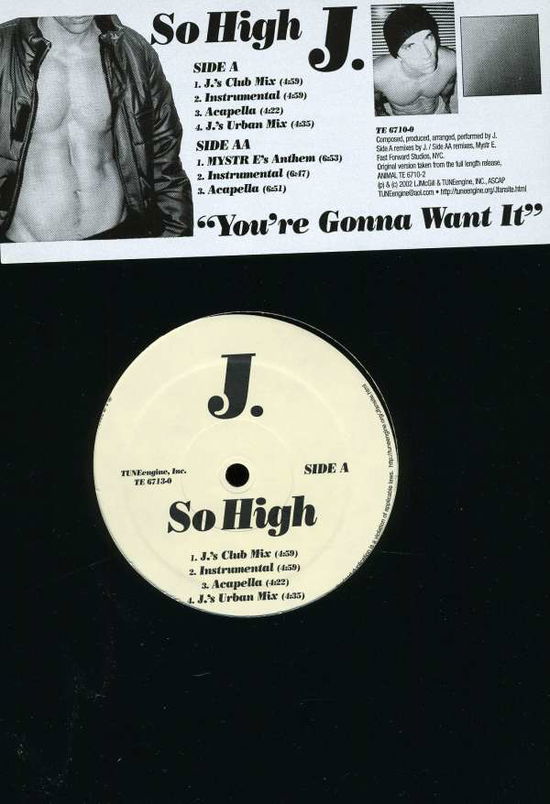 Cover for J. · So High Vinyl Maxi Single (LP) (2002)