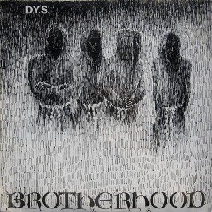 Cover for D.y.s. · Brotherhood (LP) (1990)