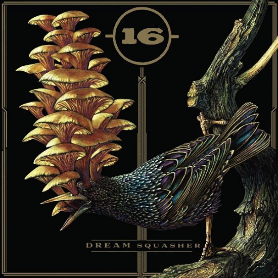 Cover for 16 · Dream Squasher (LP)