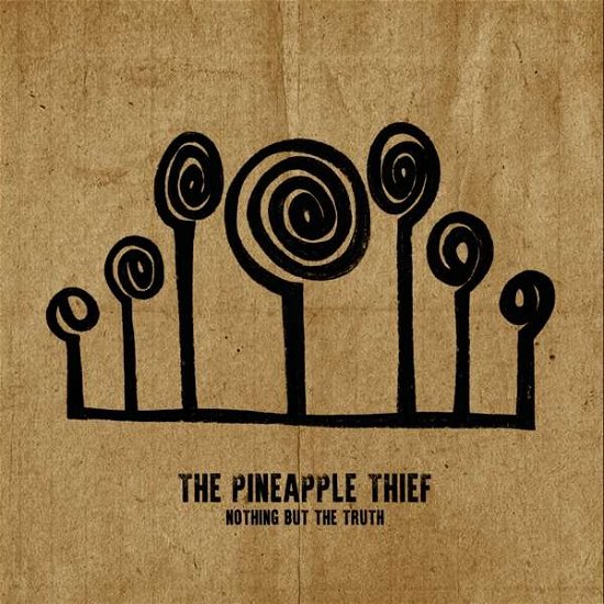 Cover for The Pineapple Thief · Nothing but the Truth (LP) (2021)