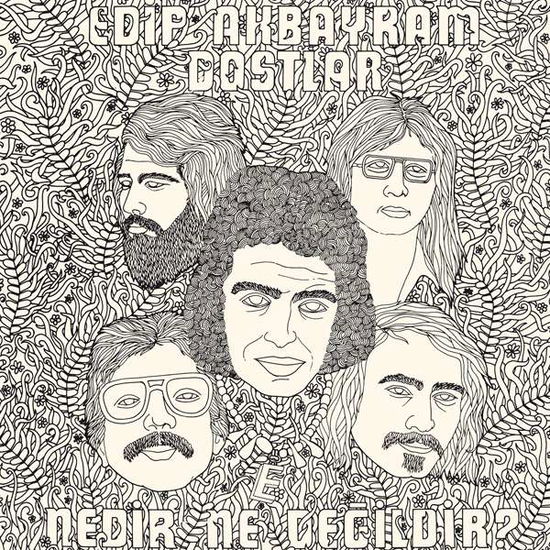 Cover for Edip -&amp; Dostlar- Akbayram · Nedir Ne Degildir (CD) [Remastered edition] (2014)