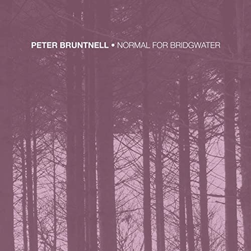 Cover for Peter Bruntnell · Normal For Bridgwater (LP) (2020)