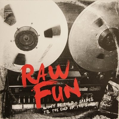 Cover for Raw Fun · Won't Be Told (7&quot;) (2017)