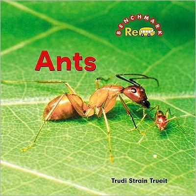 Cover for Trudi Trueit · Ants - Animals, Animals (Hardcover bog) (2010)