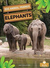 Elephants - Amy Culliford - Books - Crabtree Roots - 9781039661615 - September 1, 2022