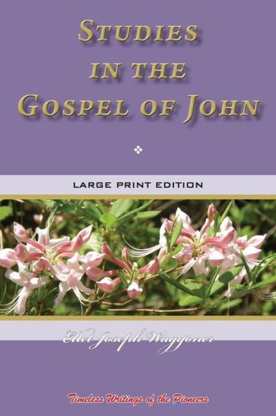 Cover for Ellet Joseph Waggoner · Studies in the Gospel of John (Paperback Book) (2019)