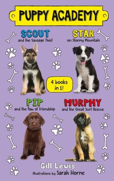 Cover for Gill Lewis · Puppy Academy Bindup Books 1-4: Scout and the Sausage Thief, Star on Stormy Mountain, Pip and the Paw of Friendship, Murphy and the Great Surf Rescue - Puppy Academy (Hardcover Book) (2019)