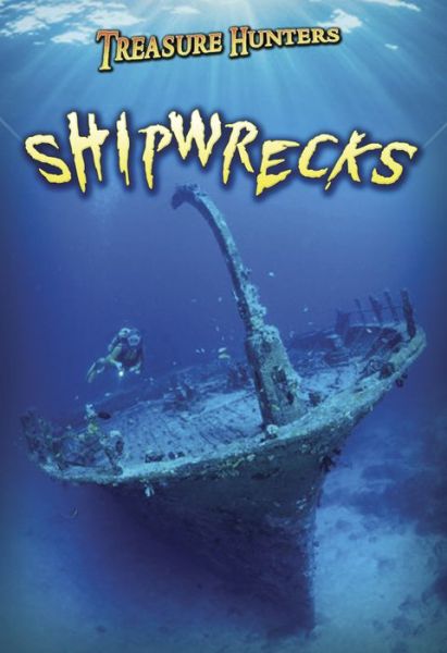 Cover for Nick Hunter · Shipwrecks (Treasure Hunters) (Paperback Book) (2013)