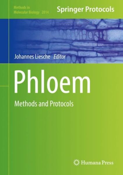Cover for Phloem (Book) [1st ed. 2019 edition] (2019)