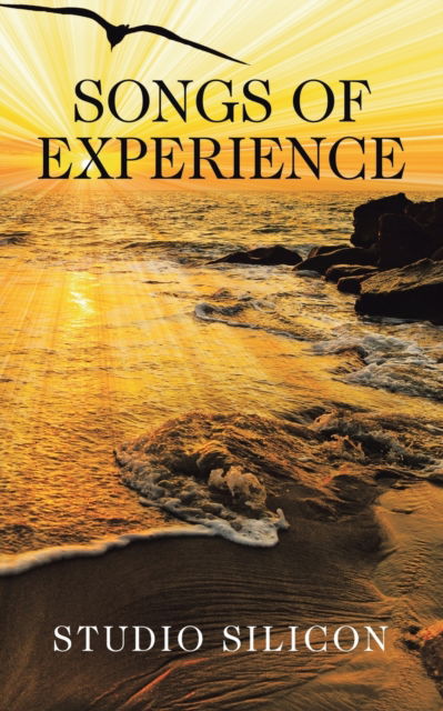 Songs of Experience - Studio Studio Silicon - Outro - Partridge Publishing - 9781543766615 - 4 de agosto de 2021