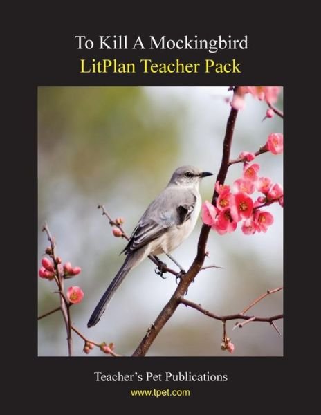 Cover for Mary B Collins · Litplan Teacher Pack (Taschenbuch) (1999)