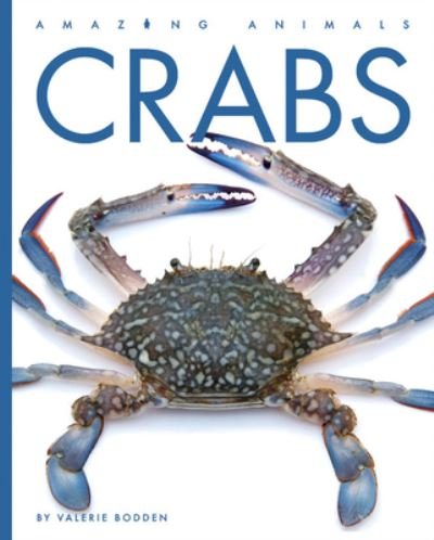 Crabs - Kate Riggs - Książki - Creative Company, The - 9781640265615 - 2023