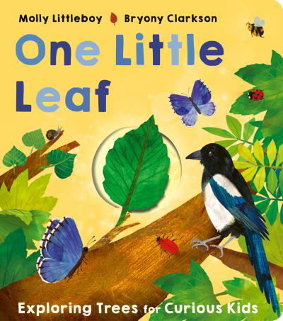 Cover for Molly Littleboy · One Little Leaf - One Little (Board book) (2023)