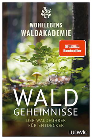 Waldakademie Wohllebens · Waldgeheimnisse (Book)