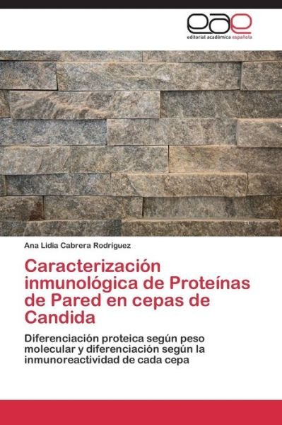 Cover for Cabrera Rodríguez Ana Lidia · Caracterización Inmunológica De Proteínas De Pared en Cepas De Candida (Paperback Bog) [Spanish edition] (2014)