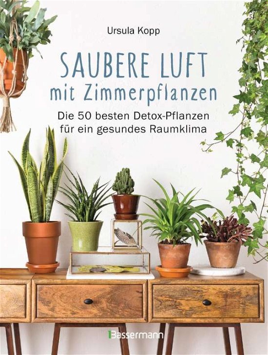 Cover for Kopp · Saubere Luft mit Zimmerpflanzen (Bok)