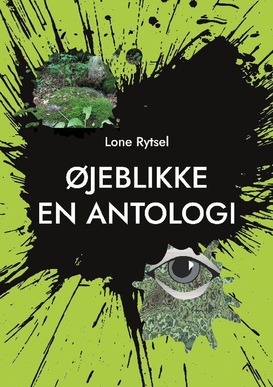 Lone Rytsel · Øjeblikke (Paperback Book) [1st edition] (2024)