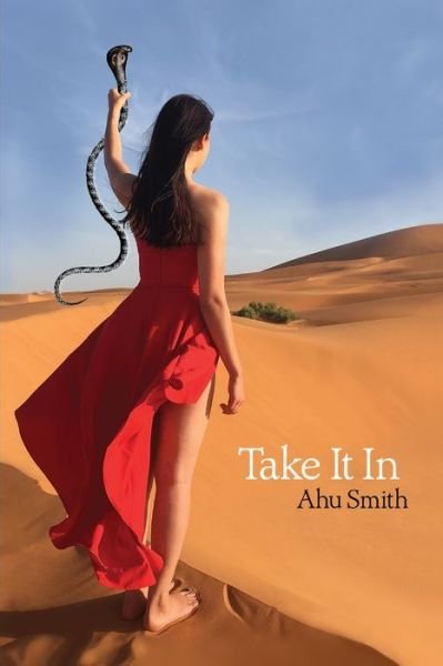 Cover for Ahu Smith · Take It In (Pocketbok) (2017)
