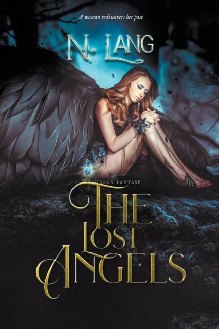 Cover for N Lang · The Lost Angels (Paperback Book) (2017)