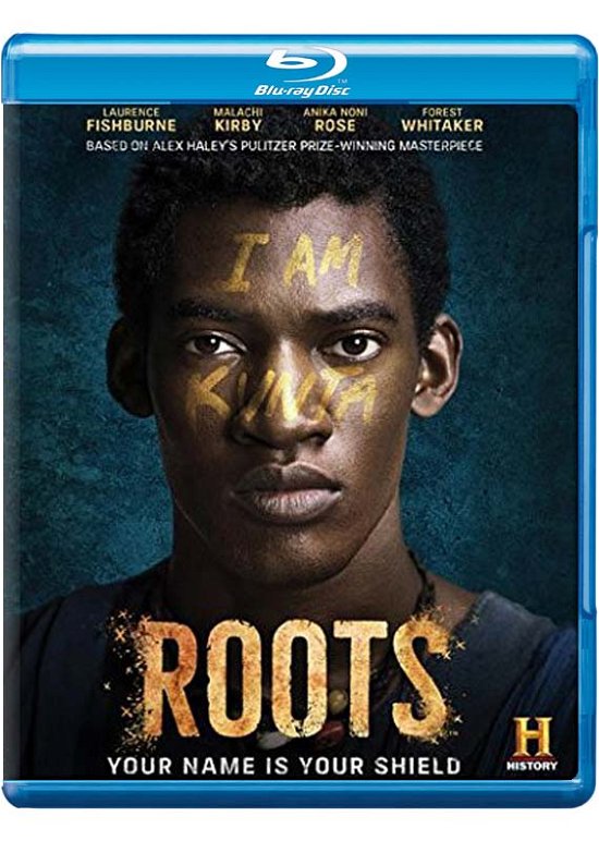 Cover for Roots (Blu-ray) (2016)
