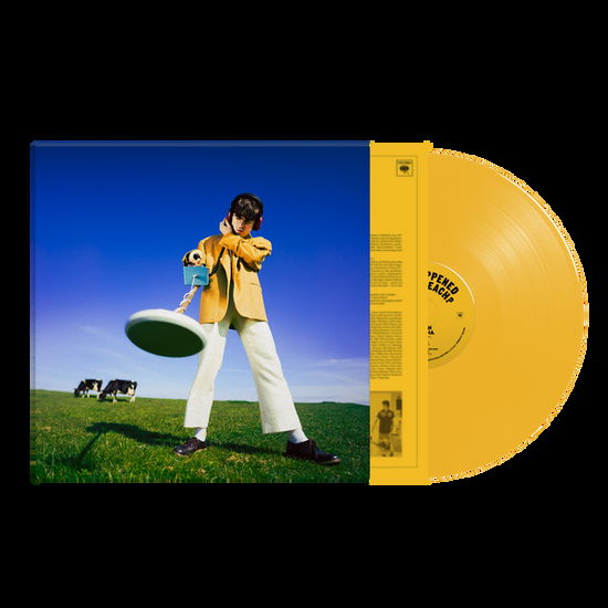 Cover for Declan Mckenna · What Happened To The Beach? (LP) [Limited Yellow Vinyl edition] (2024)