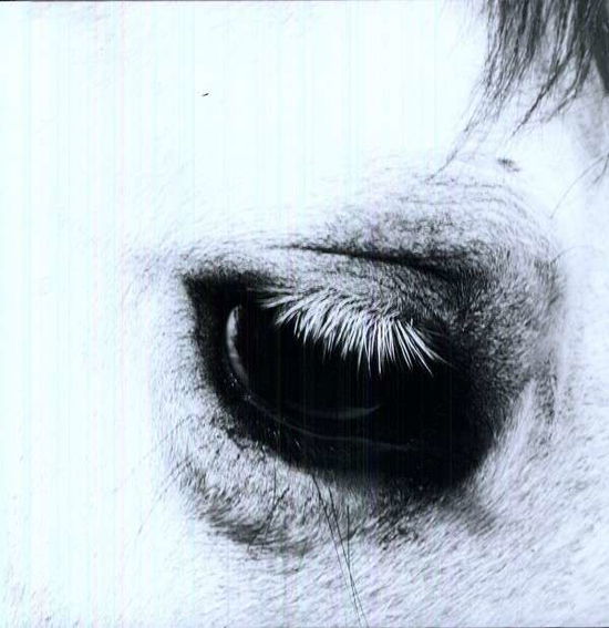 Cover for Creepoid · Horse Heaven (LP) [Limited edition] (2012)