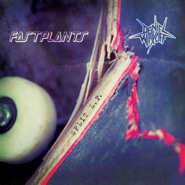 Cover for Fastplants / Waxoff,daniel · Split (LP) (2017)