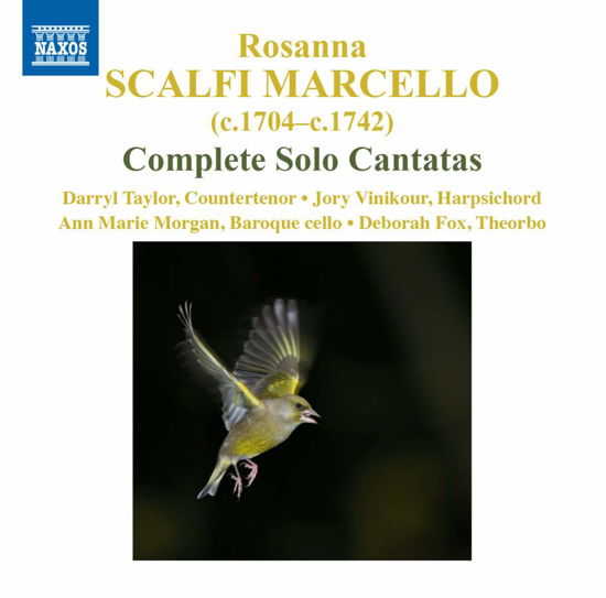 Cover for Taylor / Vinikour / Morgan · Solo Cantatas of Rosanna (CD) (2015)
