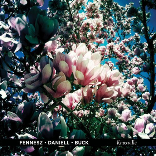 Cover for Fennesz / Daniell / Buck · Knoxville (LP) [Limited edition] (2012)