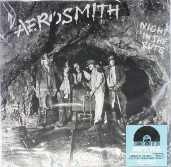 Cover for Aerosmith · Night in the Ruts (LP) (2014)