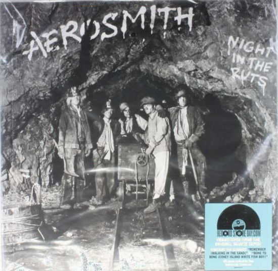 Night in the Ruts - Aerosmith - Musik - ROCK - 0888837609616 - 19 april 2014