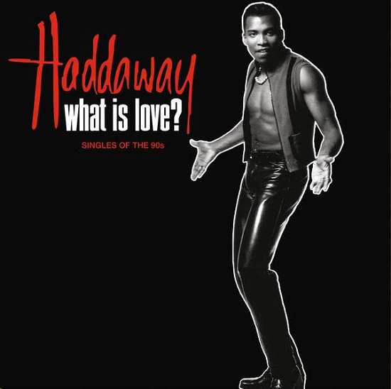 Cover for Haddaway · What is Love? the Singles of the 90s (LP) (2018)