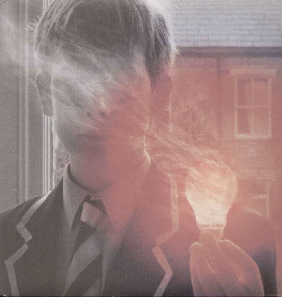 Cover for Porcupine Tree · Lightbulb Sun (LP) [Deluxe, High quality edition] (2017)