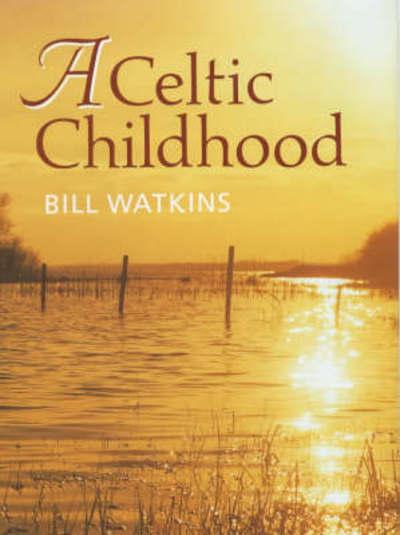 Celtic Childhood - Bill Watkins - Books - Profile Books Ltd - 9780285635616 - May 25, 2000