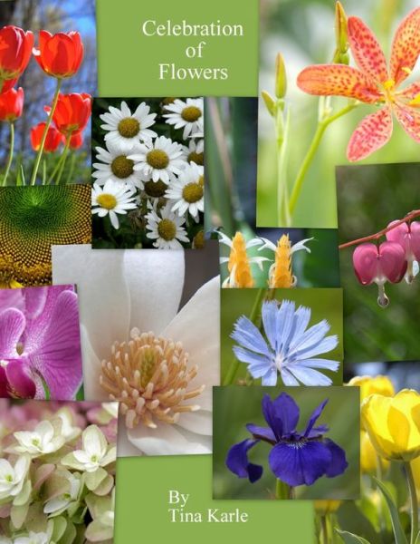 Celebration of Flowers - Tina Karle - Książki - Wright Books - 9780557167616 - 20 czerwca 2011