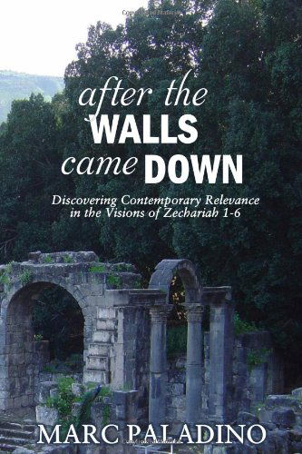 Cover for Marc Paladino · After the Walls Came Down: Discovering Contemporary Relevance in the Visions of Zechariah 1-6 (Paperback Book) (2011)