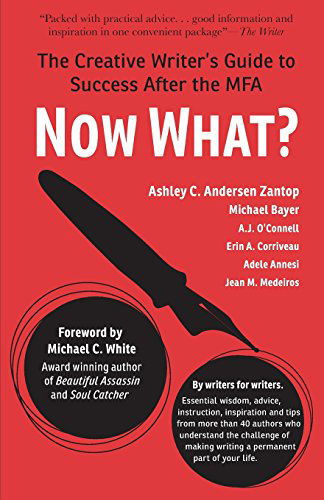 Cover for Ashley C. Andersen Zantop · Now What?: the Creative Writer's Guide to Success After the Mfa (Paperback Book) (2014)