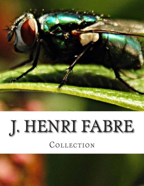 Cover for J Henri Fabre · J. Henri Fabre, Collection (Paperback Book) (2014)