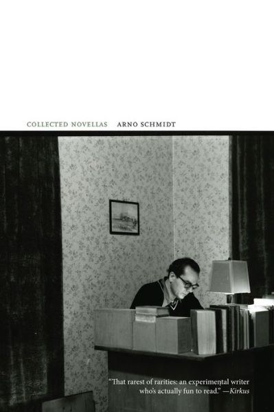 Collected Novellas: Collected Early Fiction 1949-1964 - German and Austrian Literature - Arno Schmidt - Books - Dalkey Archive Press - 9781564786616 - December 1, 1994