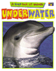 Cover for Claire Watts · Underwater (Paperback Book) (2000)