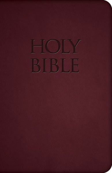 Cover for Saint Benedict Press · Holy Bible-nab (Revised) (Lederbuch) [Burgundy Imitation] (2014)