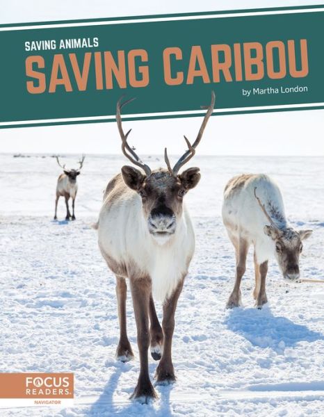 Saving Caribou - Saving Animals - Martha London - Books - North Star Editions - 9781644934616 - 2021